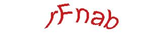 عبارت امنیتی