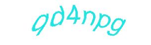 عبارت امنیتی