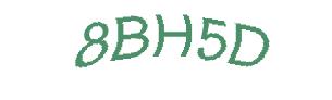 عبارت امنیتی