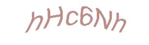 عبارت امنیتی