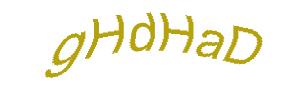 عبارت امنیتی