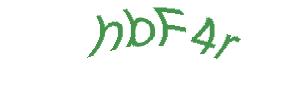 عبارت امنیتی
