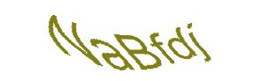 عبارت امنیتی