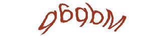 عبارت امنیتی