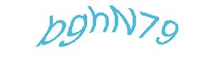 عبارت امنیتی