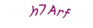 عبارت امنیتی