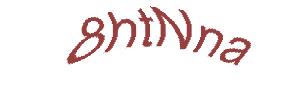 عبارت امنیتی