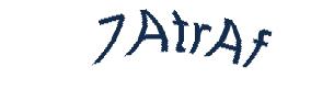 عبارت امنیتی