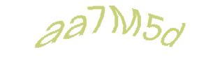 عبارت امنیتی