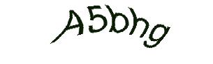 عبارت امنیتی