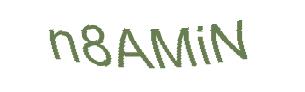 عبارت امنیتی