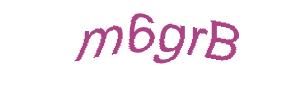 عبارت امنیتی