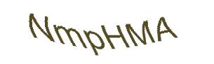 عبارت امنیتی
