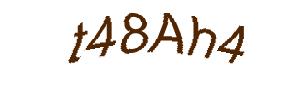 عبارت امنیتی