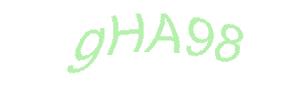 عبارت امنیتی
