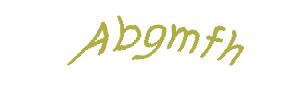 عبارت امنیتی