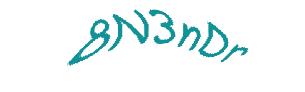 عبارت امنیتی