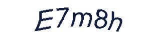 عبارت امنیتی