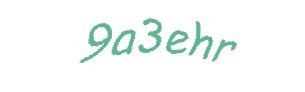 عبارت امنیتی