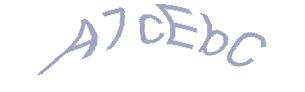 عبارت امنیتی