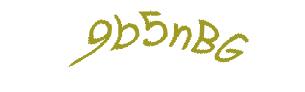 عبارت امنیتی