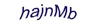 عبارت امنیتی