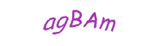 عبارت امنیتی