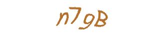 عبارت امنیتی