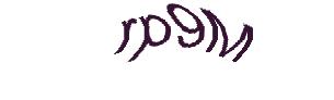 عبارت امنیتی