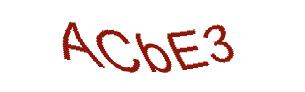 عبارت امنیتی