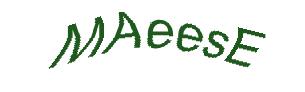 عبارت امنیتی