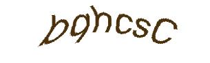 عبارت امنیتی