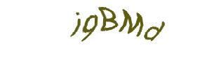 عبارت امنیتی