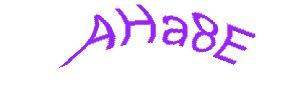 عبارت امنیتی