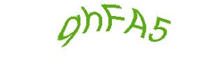 عبارت امنیتی