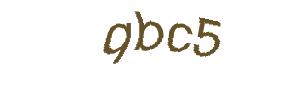عبارت امنیتی