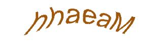 عبارت امنیتی