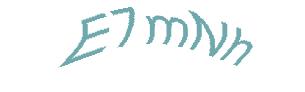 عبارت امنیتی