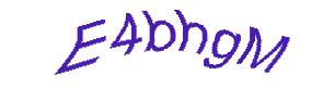 عبارت امنیتی