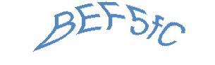 عبارت امنیتی