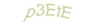 عبارت امنیتی