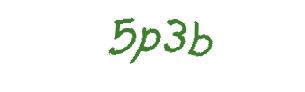 عبارت امنیتی
