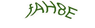 عبارت امنیتی