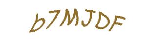 عبارت امنیتی