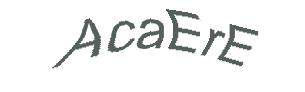 عبارت امنیتی
