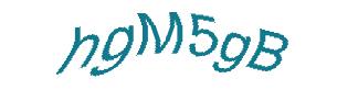 عبارت امنیتی