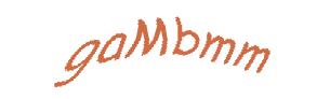 عبارت امنیتی