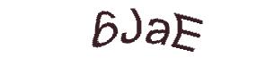 عبارت امنیتی