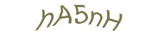 عبارت امنیتی