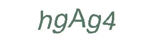 عبارت امنیتی